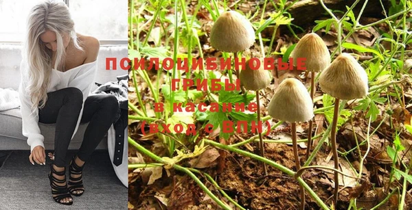 МДПВ Володарск