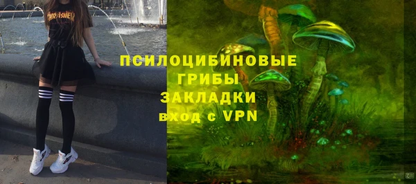 МДПВ Володарск
