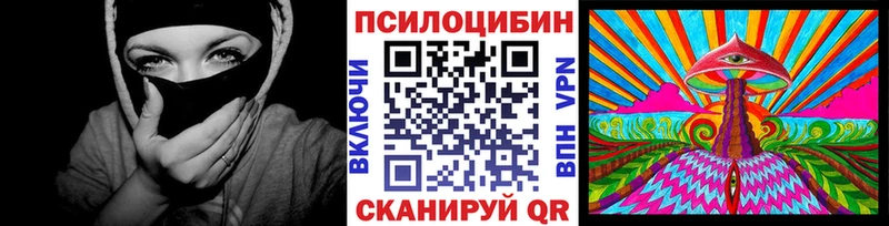 закладка  Ставрополь  Псилоцибиновые грибы GOLDEN TEACHER 